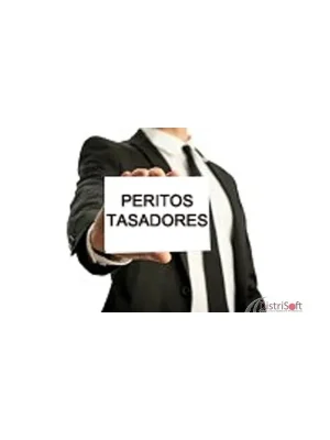 peritos tasadores
